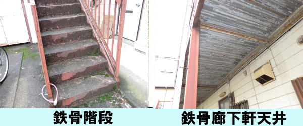 �S���K�i�@�S���L�����V��