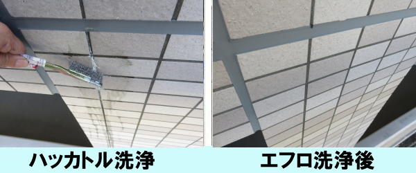 �n�b�J�g�����@�G�t������