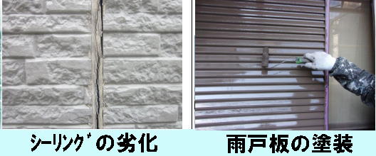 �V�[�����O�̗򉻁@�J�˂̓h��