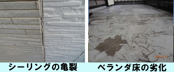 �V�[�����O�̋T��@�x�����_���̗�